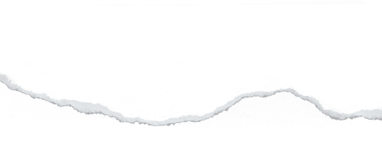 Ripped Paper Line Texture