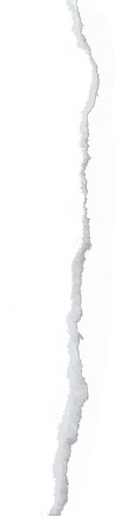 Ripped Paper Line Texture